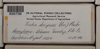 Image Associated With the Occurence